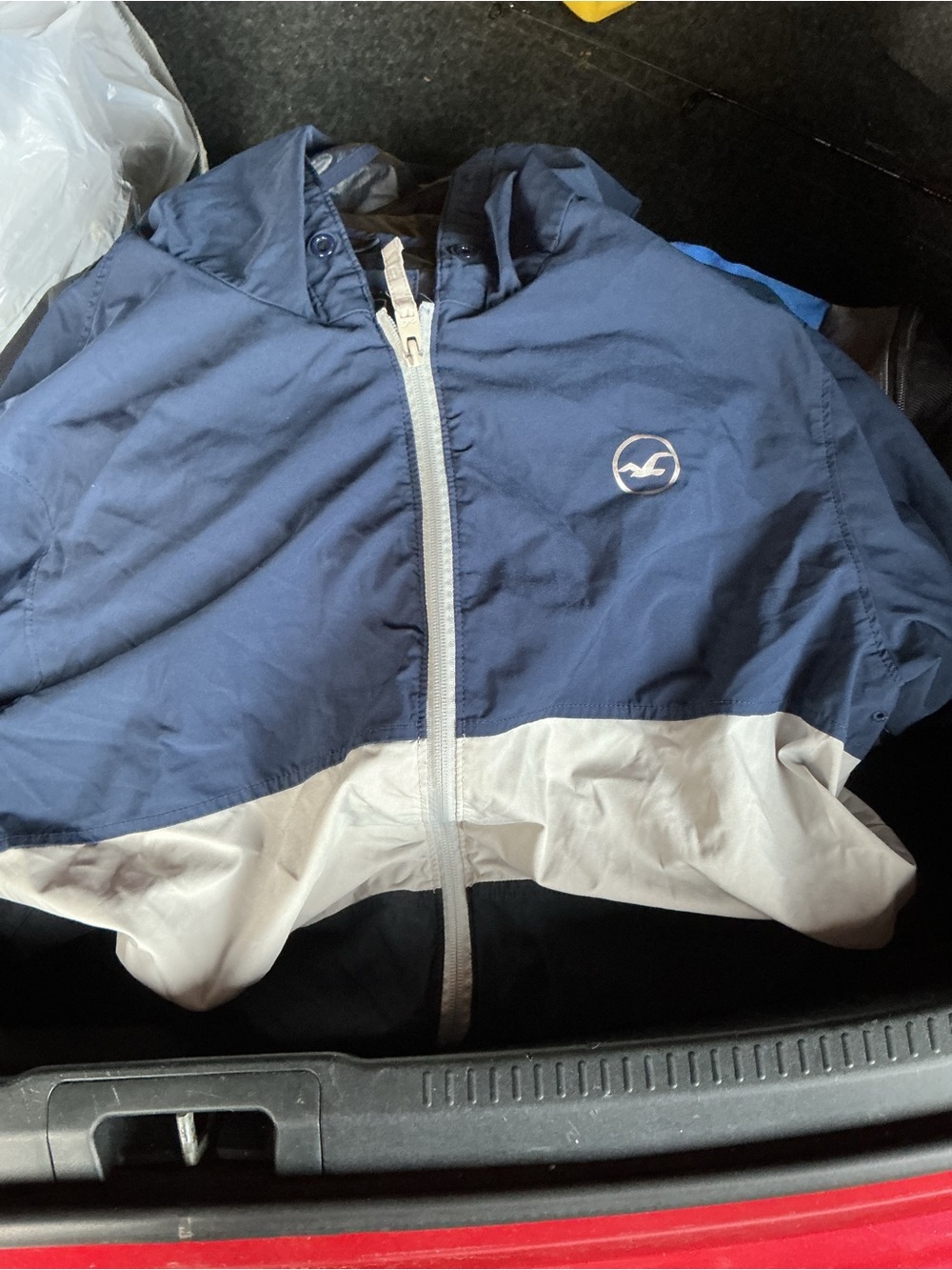 Hollister Navy & White Windbreaker Jacket